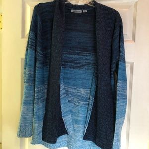 Jason Maxwell Blue Ombré Sweater
